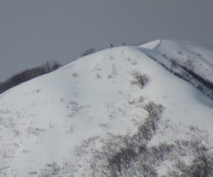 １/17  上蒜山8合目付近　雪庇が出来始めています