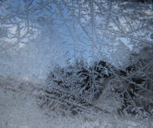 １/18 窓の霜　気温が低い朝は窓のガラスに霜がつきます