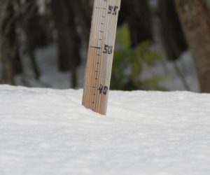 １/20  積雪37㎝、雪が解けたわけでは無く沈んで積雪が減りました。