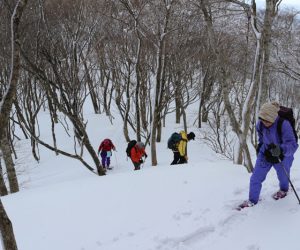 高倉山に向けて登り返す。