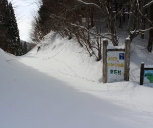 野土路乢に下山