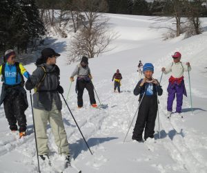 晴れて雪原はキラキラです