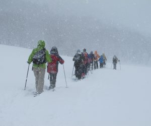 １/21  スノーシューハイキング　上蒜山山麓の百合原牧場付近、上蒜山スキー場は今シーズンから休止、地元の方にお願いして駐車場の除雪をしてもらいました。 積雪季の登山には駐車場がありません。 だんだん村など付近の型の迷惑にならないよう確認してください。