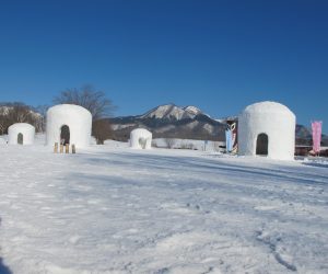 蒜山雪恋祭り　②カマクラと上、中蒜山　巨大カマクラは全部で6基雪を積み上げ踏み固めた後中をくりぬきます、骨組みはありません