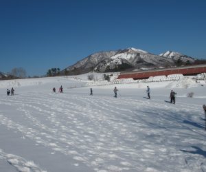 蒜山雪恋祭り　④雪原を散歩