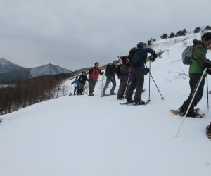 三平山スノーシュー　林を抜けて雪原を行く