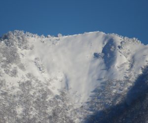 １/25 上蒜山山頂　左の木がはえている所が山頂 茅部野より