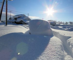 １/25 雪に埋まった車