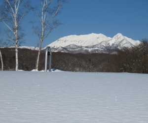 １/26 大山、烏ヶ山　白樺の丘より