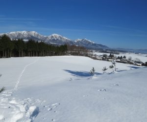 １/27 蒜山三座　茅部野より