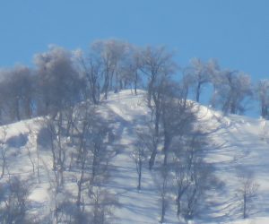 2/2  上蒜山山頂　