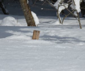 2/12  積雪120㎝  最高積雪は135㎝でした