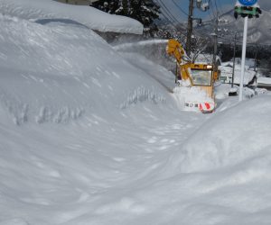 2/12  歩道の除雪  蒜山には歩道用の除雪車があり車道と同様歩道もきっちり除雪します。 昨日も除雪したはずですが、、、。