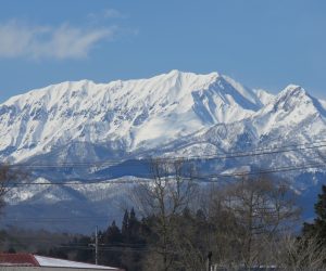 2/19  大山南の壁