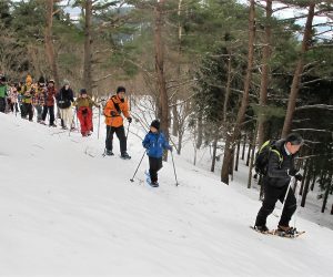 ２/26 スノーシュウ三平山登山　登山口の赤松林