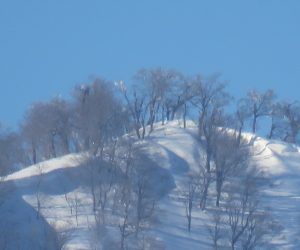 2/28　上蒜山　1202m  茅部野より　ブナが大部少なくなってに頻回側に展望が効くようになりました