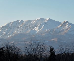 2/28　大山、烏ヶ山 茅部野より