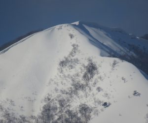 ３/3  上蒜山8合目付近　尾根の東側にセッピが発達しています