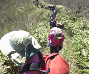 中蒜山から下蒜山への縦走路