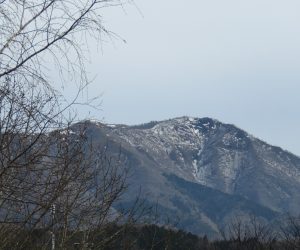 4/10　上蒜山残雪