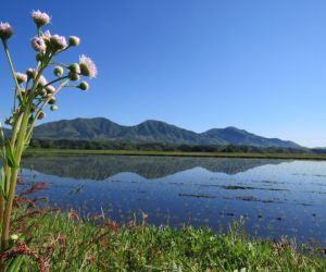 5/18 蒜山三座