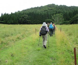 登山口に向けて牧場の中