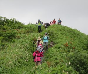 頂上から下山中