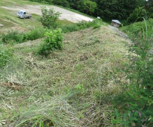 7/5 三平山ログハウス付近の草刈  雨の中の草刈、草原の保護と里山保護の草刈、ついでにログハウス入り口付近も