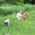 【募集】9月8日犬挟（いぬばさり）湿原の保全活動を一緒にしませんか？