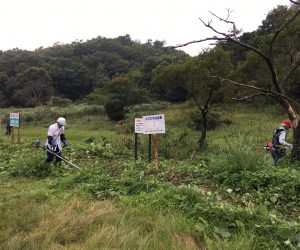 犬ばさり草刈り　周辺の草を刈り払う