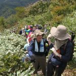 【ガイド活動】中蒜山登山のガイドをしました