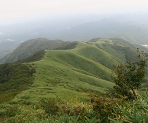 9/23 下蒜山登山ガイド