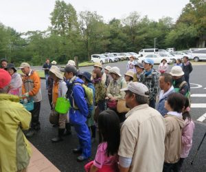 キノコ観察会（出発前の注意）