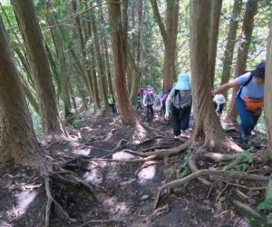 中蒜山登山　5合目手前の急登