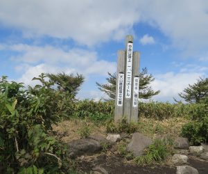 10/9 中蒜山登山ガイド  登山口の案内板には標高1123mと書いてありましたがそれではいいふうふ（１１２２）登山になりませんね。