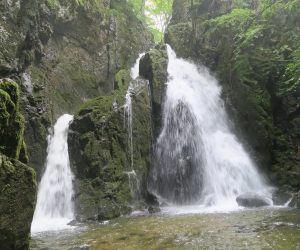 津黒自然観察会 山乗不動滝