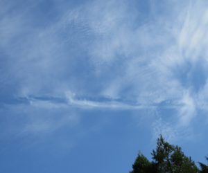 巻雲の中を飛行機が飛んで雲を消していった。 逆飛行機雲　旅客機の巡航高度はおよそ10000メートル、たまにこんなことも起こります。