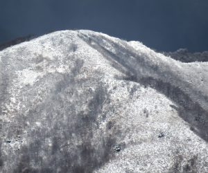 11/19 上蒜山8合目付近　上蒜山に初雪  茅部野にて