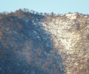 11/21 上蒜山山頂尾根