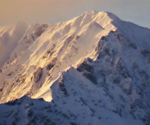 11/21 大山山頂付近