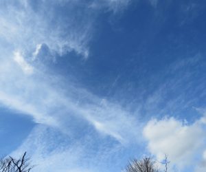 11/25 巻雲と層積雲