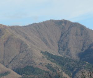 12/2 上蒜山　茅部野より　寒々としていて早く雪の衣をまといたいと言っているようです。