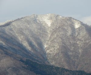 12/7　上蒜山　　茅部野より,左の尾根の上に白く見えるのが三角点、ブナが生い茂っていて眺望は望めません