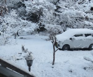 12/8　積雪4～5㎝