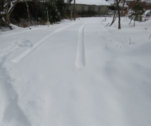 12/14 雪道