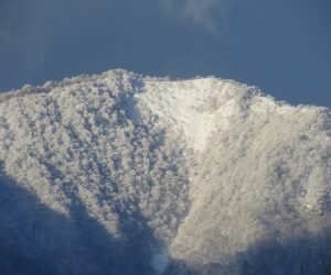 12/19 上蒜山山頂付近