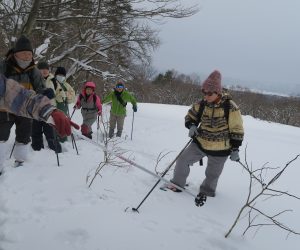 ウサギの食み痕　ネムの小枝を食べています