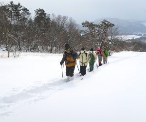 新雪を行く　雪が消えると牧草地になります。