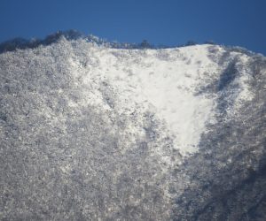 12/21 上蒜山山頂尾根付近