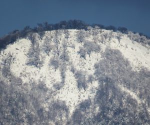 12/21 皆ヶ山山頂付近